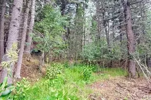 22954 Mt Elbert Dr, Aguilar, CO 81020 - Photo 42