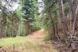 22954 Mt Elbert Dr, Aguilar, CO 81020 - Photo 30