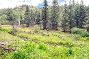 22954 Mt Elbert Dr, Aguilar, CO 81020 - Photo 26