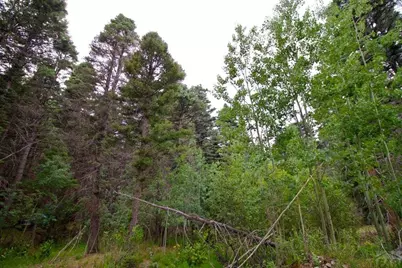 22954 Mt. Elbert Dr, Aguilar, CO 81020 - Photo 44