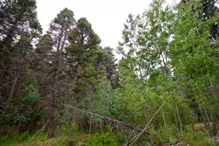 22954 Mt Elbert Dr, Aguilar, CO 81020 - Photo 44