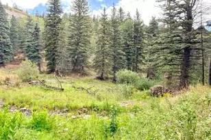 22954 Mt Elbert Dr, Aguilar, CO 81020 - Photo 48