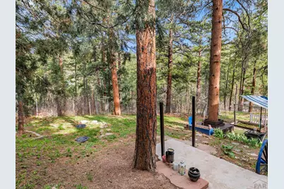 9020 Pine Ave, Beulah, CO 81023 - Photo 8