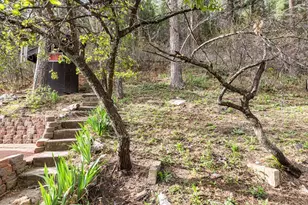 9020 Pine Ave, Beulah, CO 81023 - Photo 4