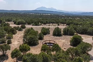 2308 Silver Spur Rd, Walsenburg, CO 81089 - Photo 28