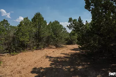 2308 Silver Spurs Rd, Walsenburg, CO 81089 - Photo 72