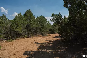 2308 Silver Spur Rd, Walsenburg, CO 81089 - Photo 72