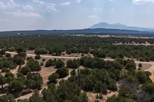 2308 Silver Spur Rd, Walsenburg, CO 81089 - Photo 86