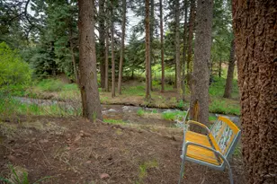 18719 Hwy 12, Cuchara, CO 81055 - Photo 44
