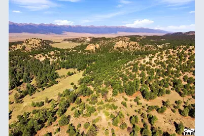 2323 Cr 323, Westcliffe, CO 81252 - Photo 4