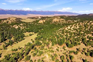 2323 Cr 323, Westcliffe, CO 81252 - Photo 4
