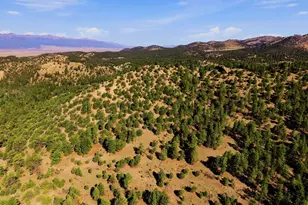 2323 Cr 323, Westcliffe, CO 81252 - Photo 26
