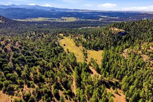 2323 Cr 323, Westcliffe, CO 81252 - Photo 24