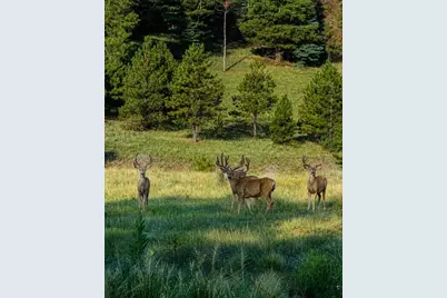 2323 Cr 323, Westcliffe, CO 81252 - Photo 28