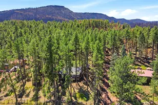 8660 Pine Dr, Beulah, CO 81023 - Photo 66