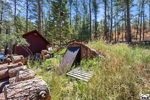 8660 Pine Dr, Beulah, CO 81023 - Photo 46