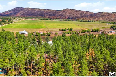 8660 Pine Dr, Beulah, CO 81023 - Photo 60