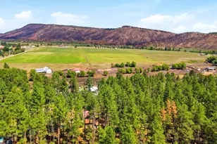 8660 Pine Dr, Beulah, CO 81023 - Photo 60