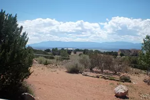 939 S Cellini Pl, Pueblo West, CO 81007 - Photo 44