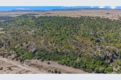 Tbd Pickney Rd, Rye, CO 81069 - Photo 8