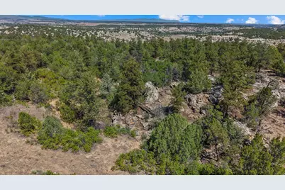 Tbd Pickney Rd, Rye, CO 81069 - Photo 16
