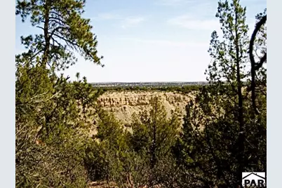 Tbd Pickney Rd, Rye, CO 81069 - Photo 20
