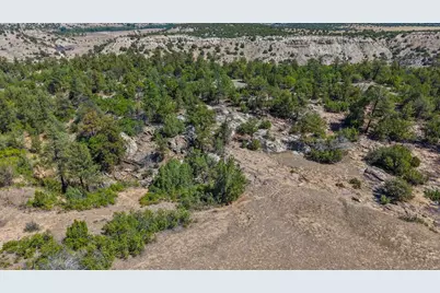 Tbd Pickney Rd, Rye, CO 81069 - Photo 2