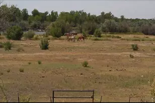 49300/49400 E State Hwy 96, Avondale, CO 81022 - Photo 16