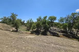 30485 Co Rd 24, Springfield, CO 81073 - Photo 76