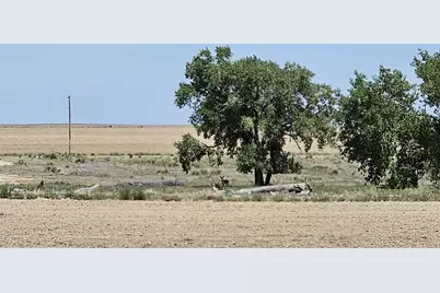 30485 County Rd 24, Springfield, CO 81073 - Photo 72