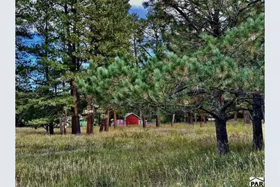 8695 Pine Dr, Beulah, CO 81023 - Photo 132