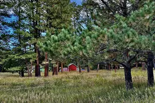 8695 Pine Dr, Beulah, CO 81023 - Photo 132