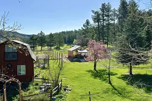 8695 Pine Dr, Beulah, CO 81023 - Photo 138