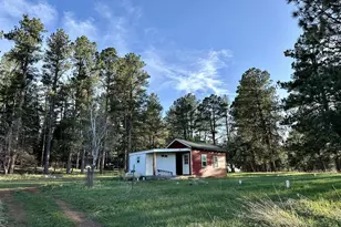 8695 Pine Dr, Beulah, CO 81023 - Photo 108