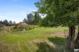 8695 Pine Dr, Beulah, CO 81023 - Photo 86