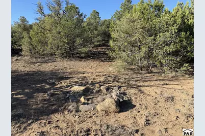 Lot 141 River Ridge Ranch, Walsenburg, CO 81089 - Photo 8