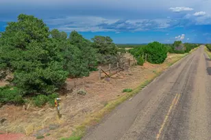 1920 Co Rd 510, Walsenburg, CO 81089 - Photo 14