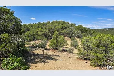 7 La Veta Pines Ranches, Walsenburg, CO 81089 - Photo 12