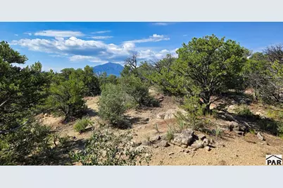 7 La Veta Pines Ranches, Walsenburg, CO 81089 - Photo 8