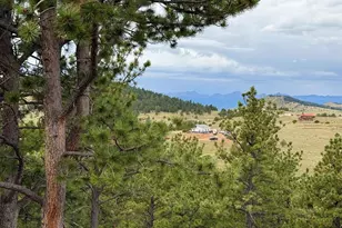 741 Junkins Loop, Westcliffe, CO 81252 - Photo 88