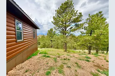 741 Junkins Loop, Westcliffe, CO 81252 - Photo 92