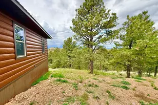 741 Junkins Loop, Westcliffe, CO 81252 - Photo 92