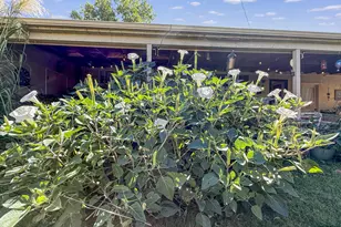 2129 Rosewood Ln, Pueblo, CO 81005 - Photo 34