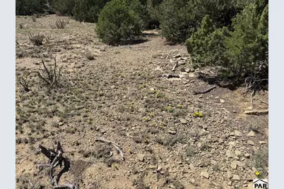 Lt 81A &amp; 101 Twin Lakes Ranches, Walsenburg, CO 81089 - Photo 8