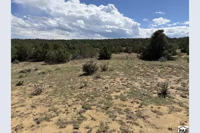 Lt 81A &amp; 101 Twin Lakes Ranches, Walsenburg, CO 81089 - Photo 10