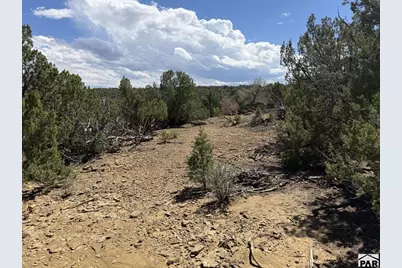 Lt 81A &amp; 101 Twin Lakes Ranches, Walsenburg, CO 81089 - Photo 14