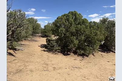 Lt 81A &amp; 101 Twin Lakes Ranches, Walsenburg, CO 81089 - Photo 16