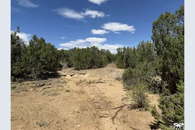 Lt 81A &amp; 101 Twin Lakes Ranches, Walsenburg, CO 81089 - Photo 22