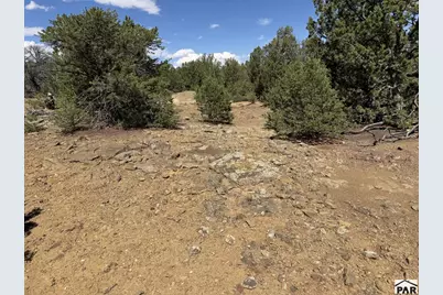 Lt 81A &amp; 101 Twin Lakes Ranches, Walsenburg, CO 81089 - Photo 6
