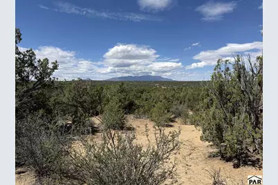 Lt 81A &amp; 101 Twin Lakes Ranches, Walsenburg, CO 81089 - Photo 2